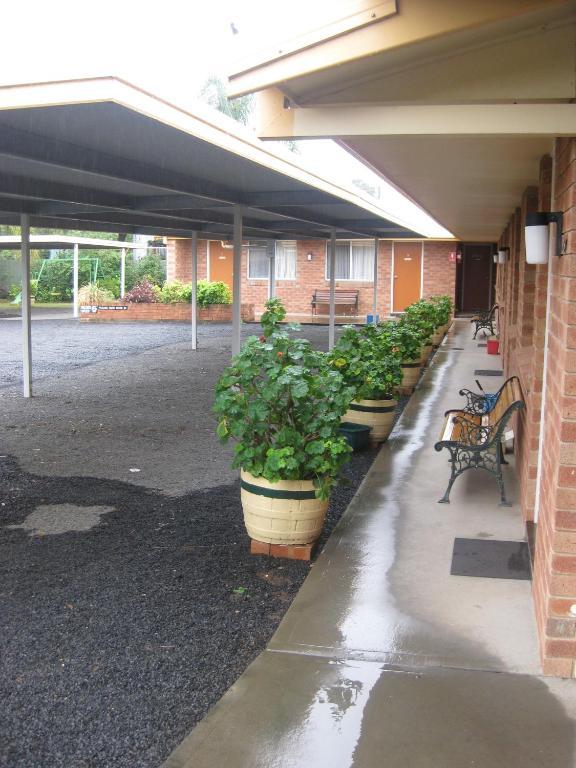 Alfa Motel Gilgandra Ngoại thất bức ảnh